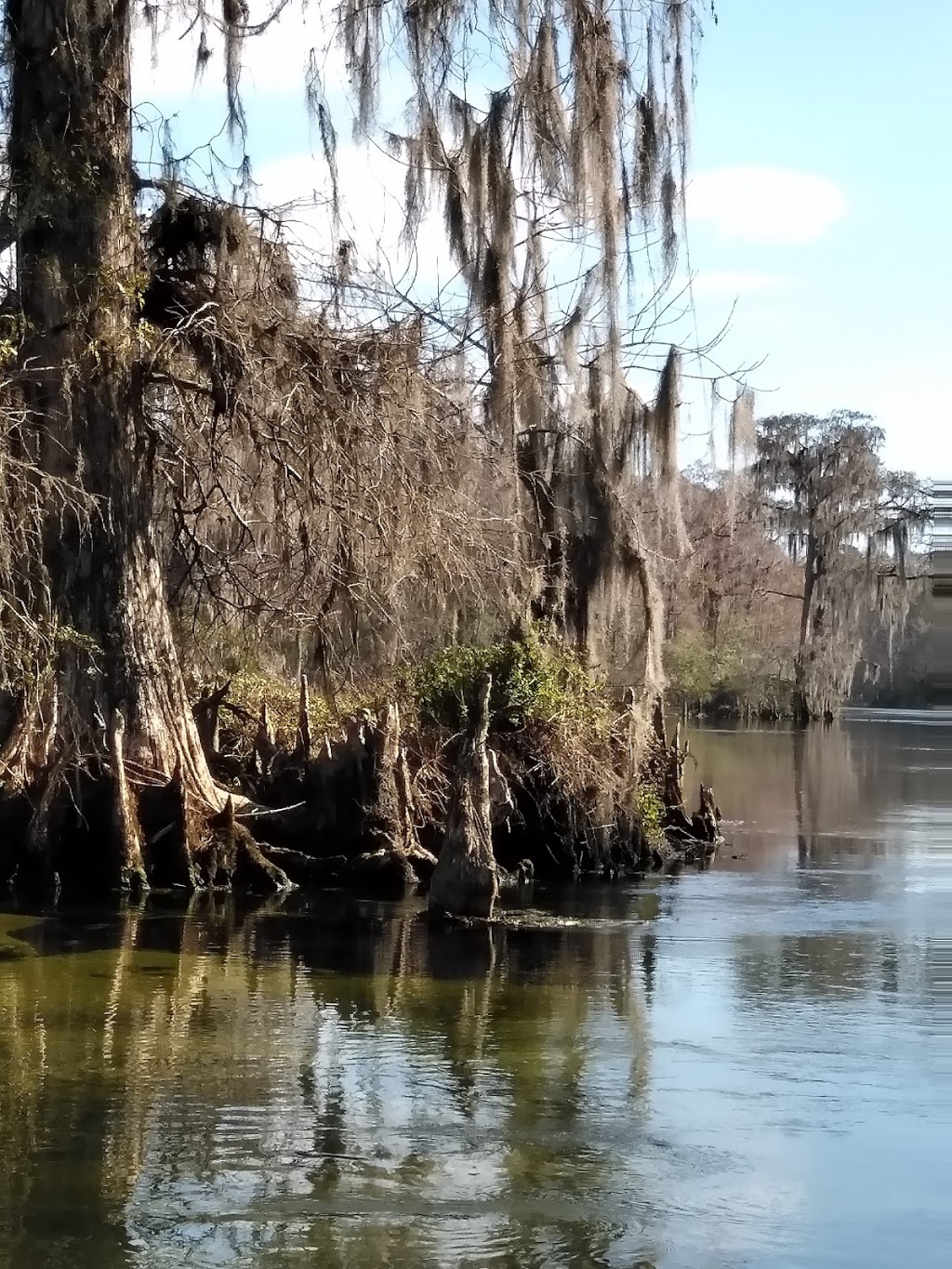 The Edward Ball Dining Room@ Wakulla Springs | restaurant | 465 Wakulla Park Dr, Crawfordville, FL 32327, USA | 8504212000 OR +1 850-421-2000