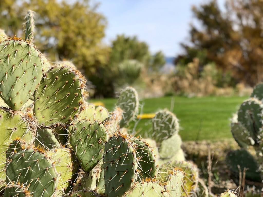 Del Lago Golf Club | restaurant | 14155 E Vía Rancho Del Lago, Vail, AZ 85641, USA | 5206471100 OR +1 520-647-1100