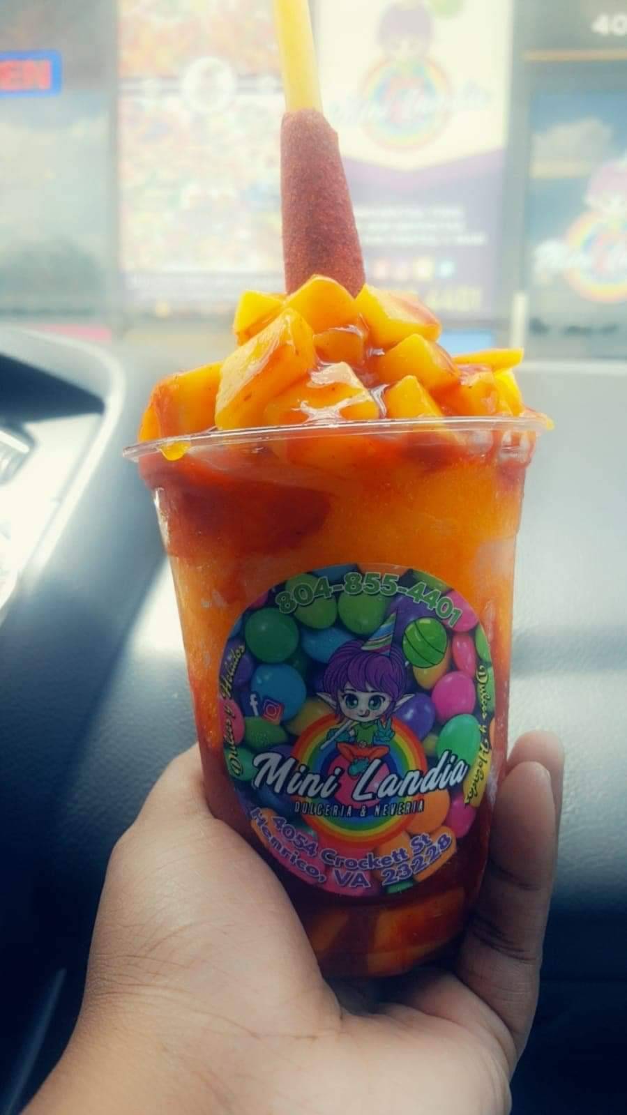 Minilandia Dulcería Y Nevería Michoacana |  | 4054 Crockett St, Richmond, VA 23228, USA | 8048554401 OR +1 804-855-4401