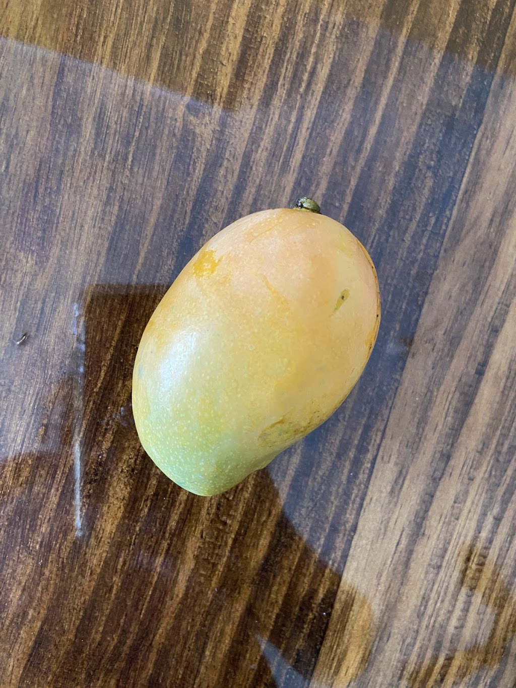 La Casa Tropical | restaurant | 1701 E 4th Ave, Tampa, FL 33605, USA | 8135330002 OR +1 813-533-0002