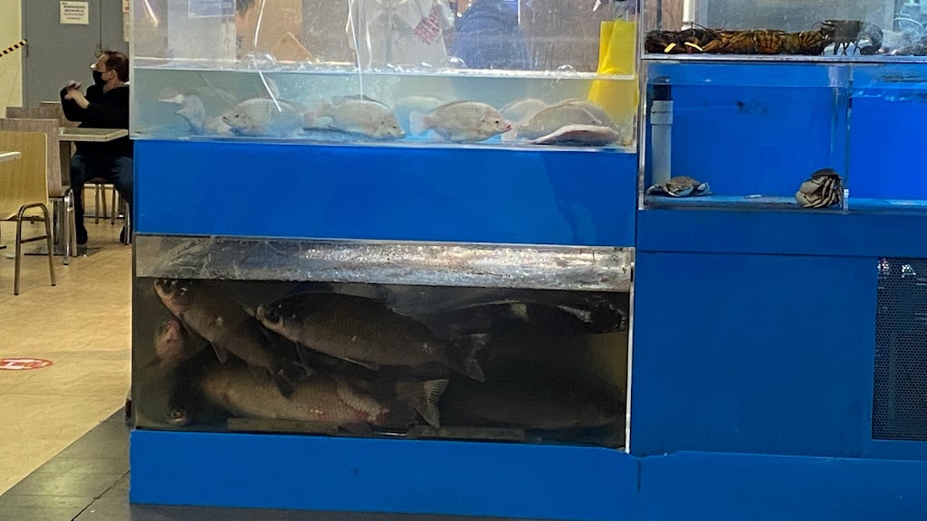 Ke Lai Qin | restaurant | 133-35 Roosevelt Ave, Flushing, NY 11354, USA | 9175635303 OR +1 917-563-5303