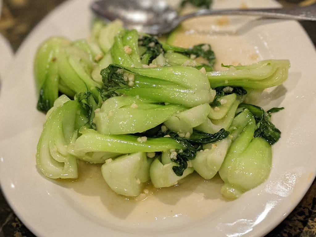 Szechuan First | restaurant | 18124 E Valley Hwy, Kent, WA 98032, USA | 4256560889 OR +1 425-656-0889