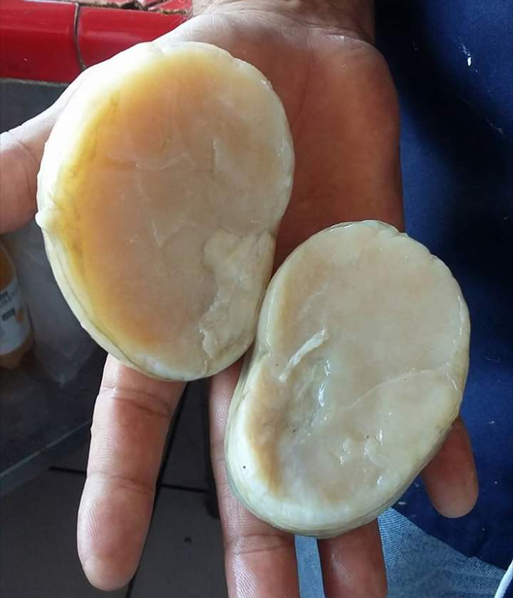 Mariscos "El Cuate" | restaurant | Monte Bello, Tijuana, B.C., Mexico | 016646487197 OR +52 664 648 7197