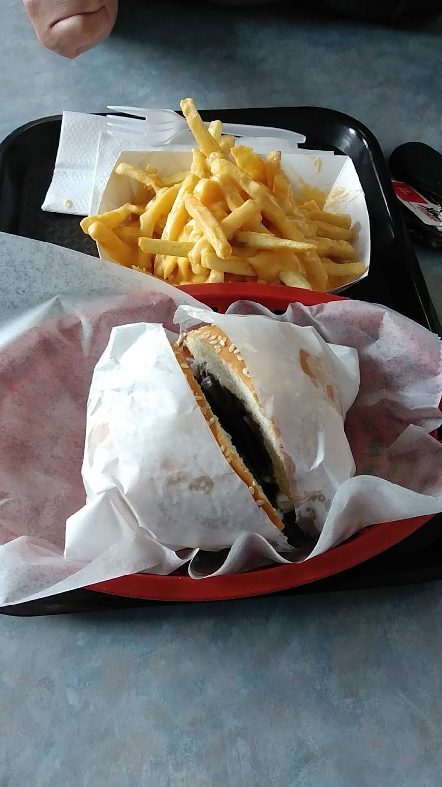 Dog Walk | meal takeaway | 626 N Milwaukee Ave, Prospect Heights, IL 60070, USA | 8475379571 OR +1 847-537-9571