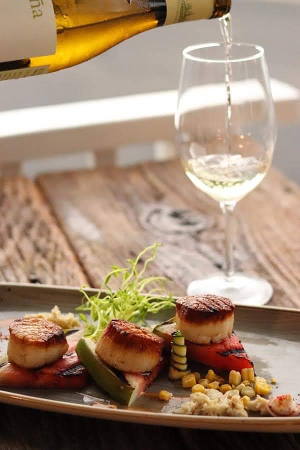 Macabeo | restaurant | 508 Orapax St, Norfolk, VA 23507, USA | 7577736458 OR +1 757-773-6458