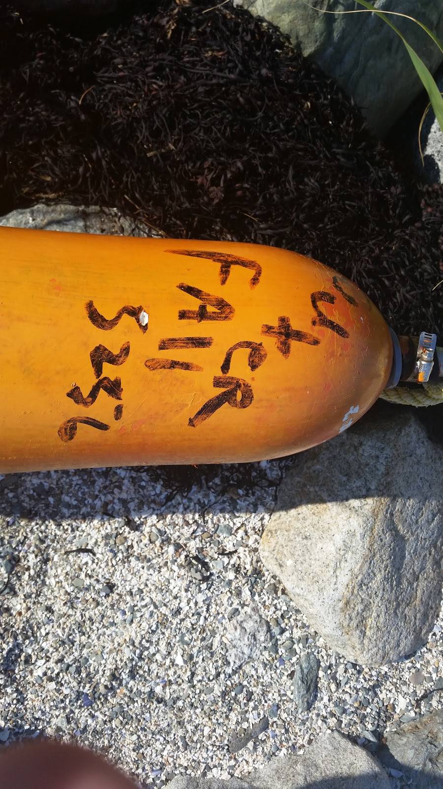 The Lookout Wedding & Catering | restaurant | 455 Flye Point Rd, Brooklin, ME 04616, USA | 2074792722 OR +1 207-479-2722