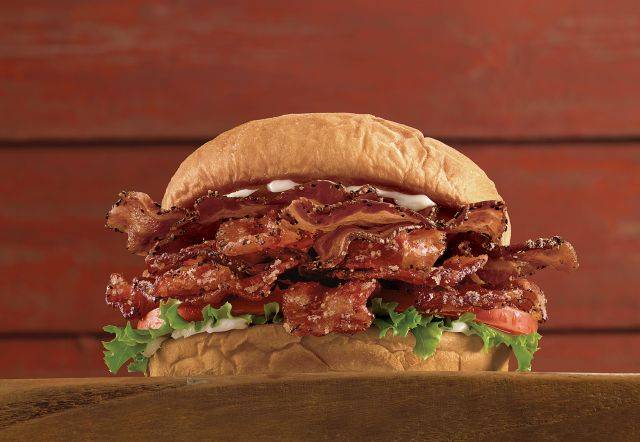 Arbys | restaurant | 4325 W Pierson Rd, Flint, MI 48504, USA | 8107336610 OR +1 810-733-6610