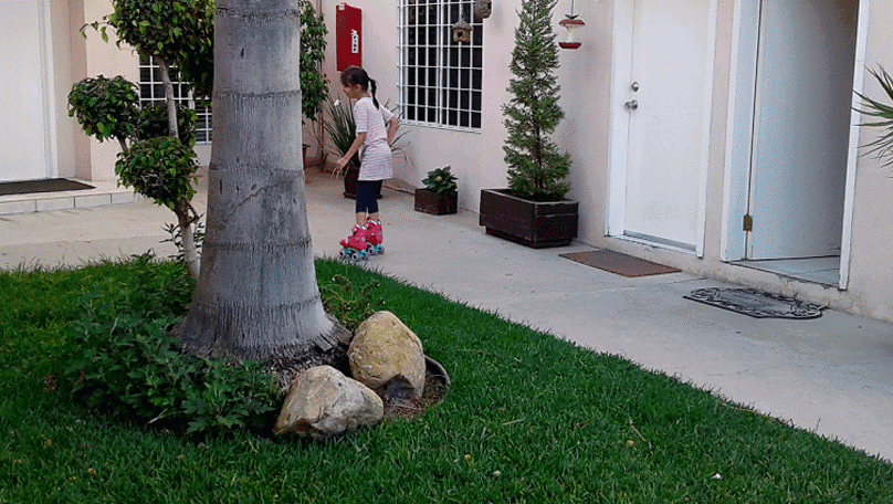 Pollos Mi Ranchito | restaurant | 2, Av de los Insurgentes 33, Libramiento, 22225 Tijuana, B.C., Mexico | 016645964886 OR +52 664 596 4886