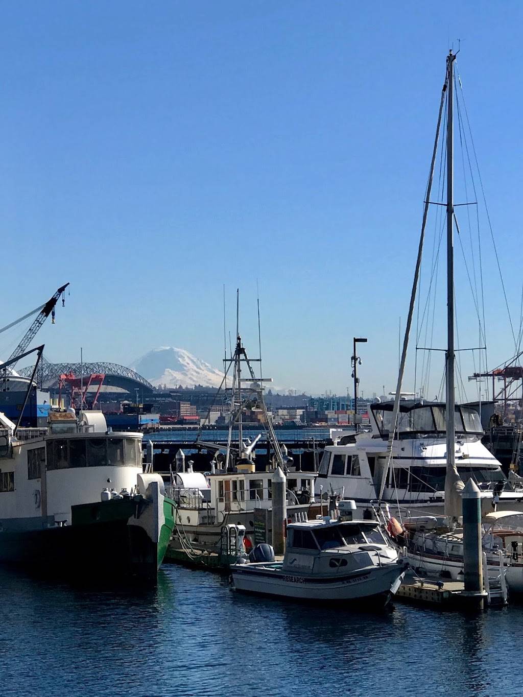 Anthonys Fish Bar | restaurant | Seattle, WA 98121, USA | 4254550732 OR +1 425-455-0732