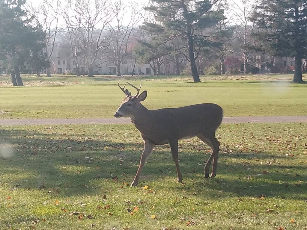 Westover Golf Course | restaurant | 401 Schuylkill Ave, Norristown, PA 19403, USA | 6105394500 OR +1 610-539-4500