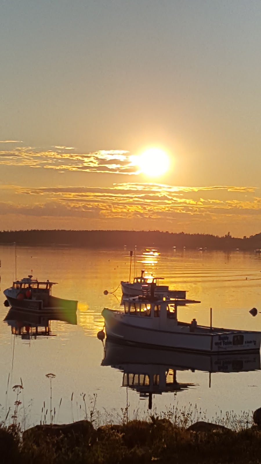 Barneys Cove Lobster Co | restaurant | 7 Wharf Rd, Beals, ME 04611, USA | 2074972244 OR +1 207-497-2244