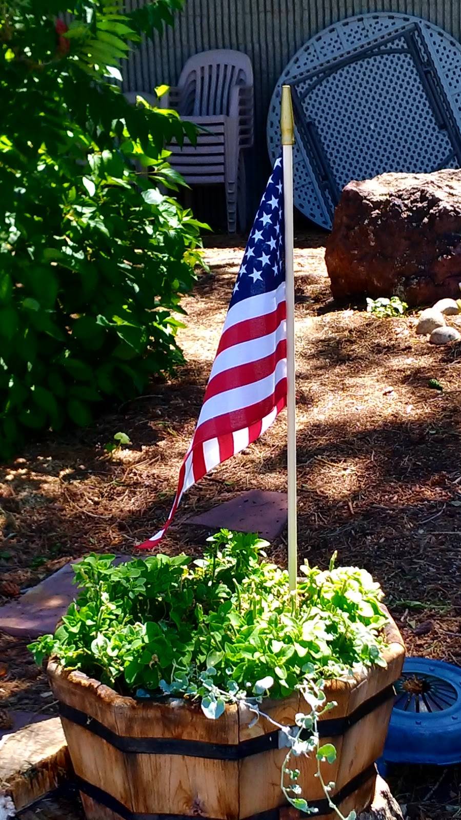 Sachi Sushi | restaurant | 7980 Niwot Rd, Market, Niwot, CO 80503, USA | 3036520238 OR +1 303-652-0238