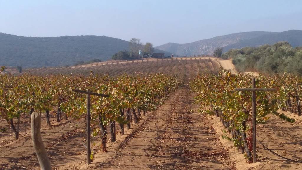 Malva | restaurant | Carretera Ensenada-Tecate Km 96, Ensenada, B.C., Mexico | 016461553085 OR +52 646 155 3085