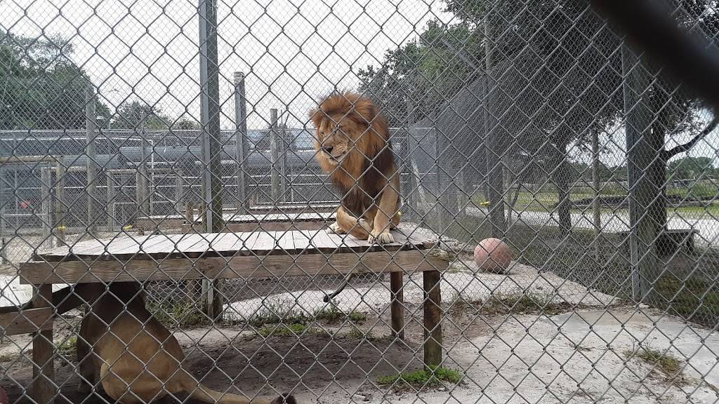 ChopHouse Grille RI | restaurant | 191 Old Tower Hill Rd, Wakefield, RI 02879, USA | 4012840797 OR +1 401-284-0797