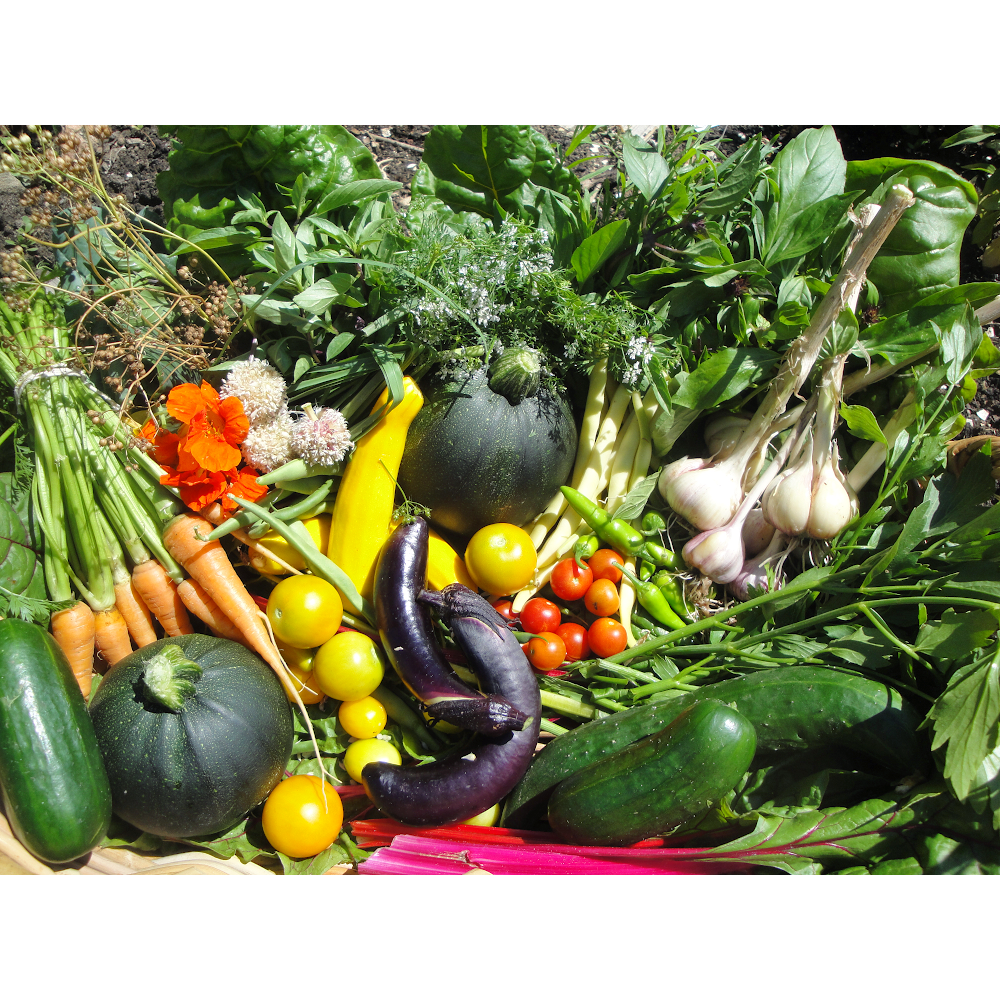 Taste of Thailand Restaurant | restaurant | 2120 S Broadway unit j, Denver, CO 80210, USA | 3037629112 OR +1 303-762-9112