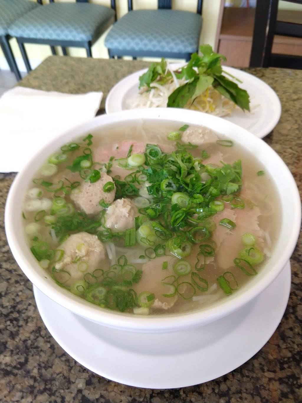 Miss Saigon Deli | restaurant | 3474 S Hopkins Ave, Titusville, FL 32780, USA | 3215672700 OR +1 321-567-2700