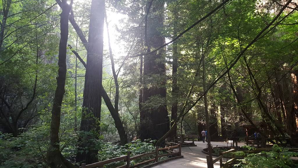 Subway | restaurant | 3214 Jefferson St, Napa, CA 94558, USA | 7072538476 OR +1 707-253-8476