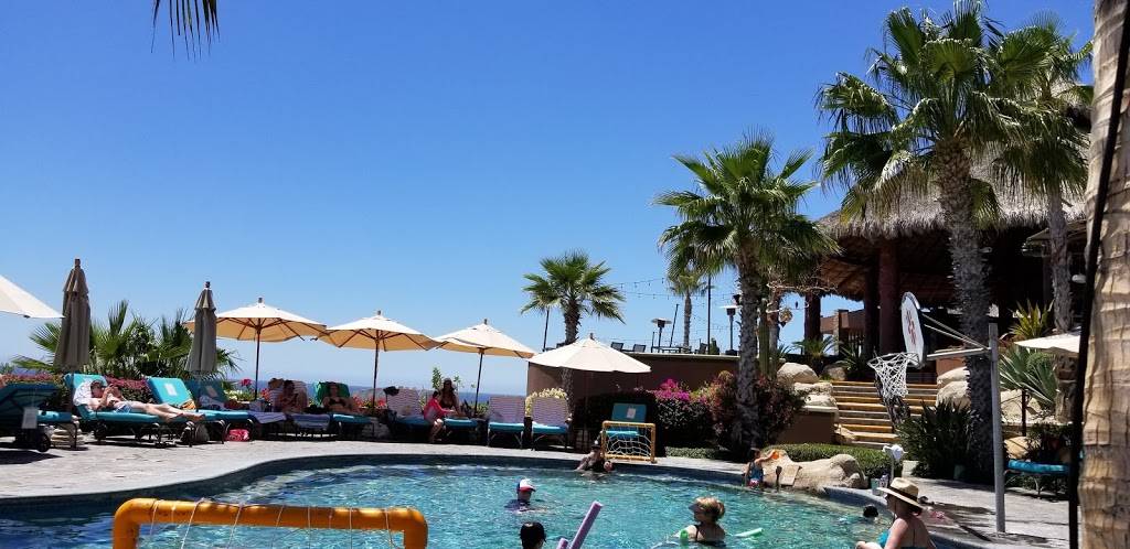 Peppers | restaurant | 17777 Pilkington Rd, Lake Oswego, OR 97035, USA | 5033873174 OR +1 503-387-3174