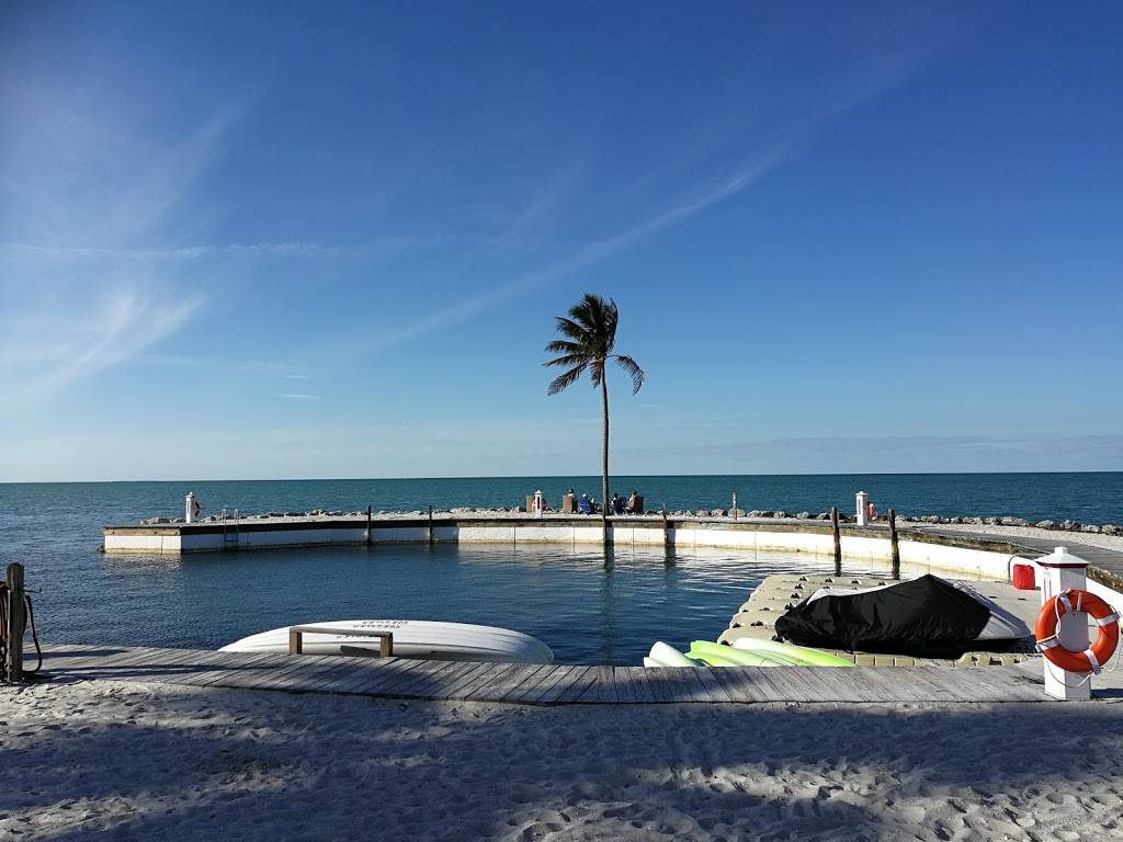 TJs Tiki Bar | restaurant | 2600 Overseas Hwy, Marathon, FL 33050, USA | 3052890888 OR +1 305-289-0888