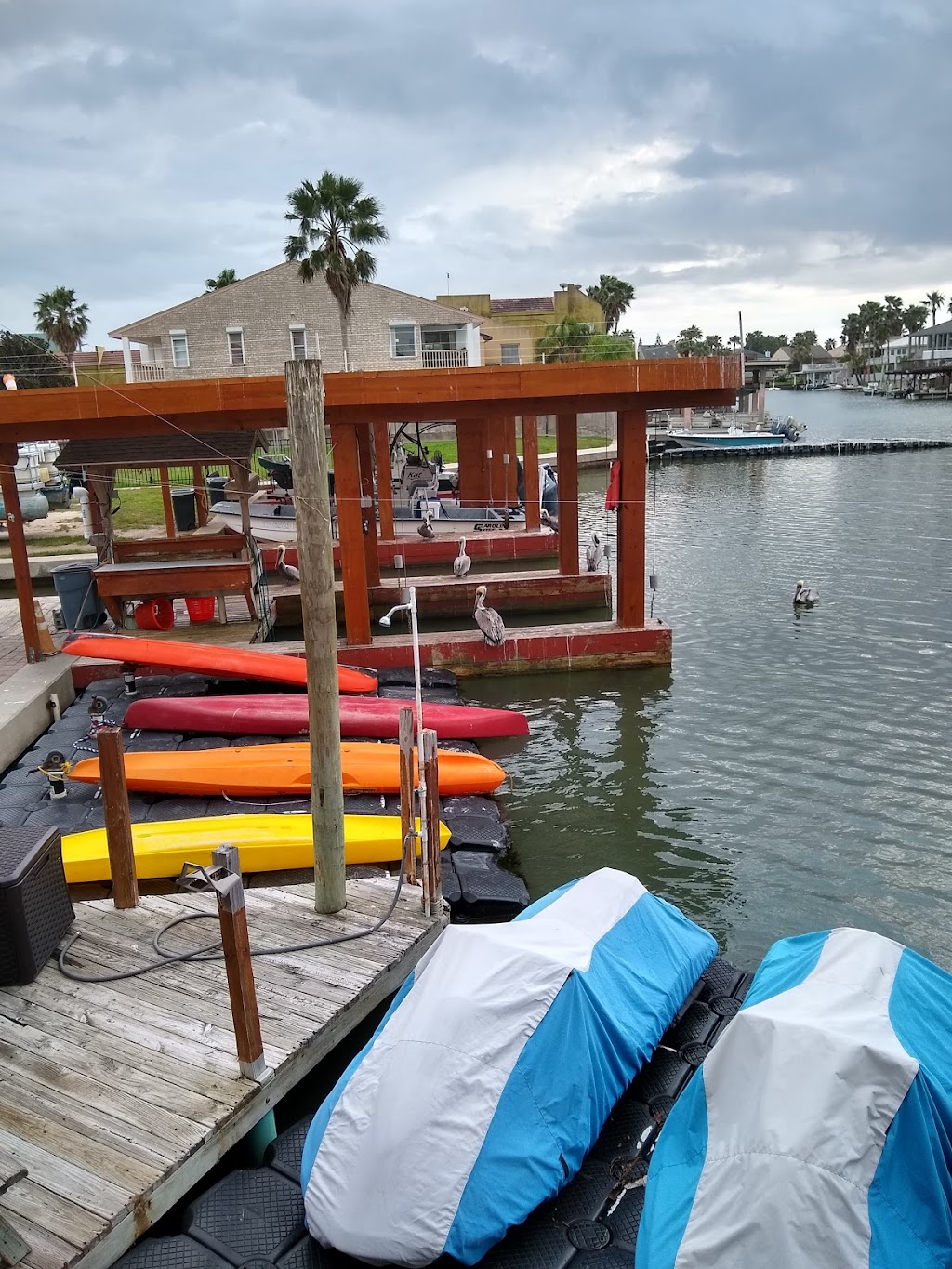 Parrot Eyes Restaurant-Bar | restaurant | 5801 Padre Blvd, South Padre Island, TX 78597, USA | 9567729040 OR +1 956-772-9040