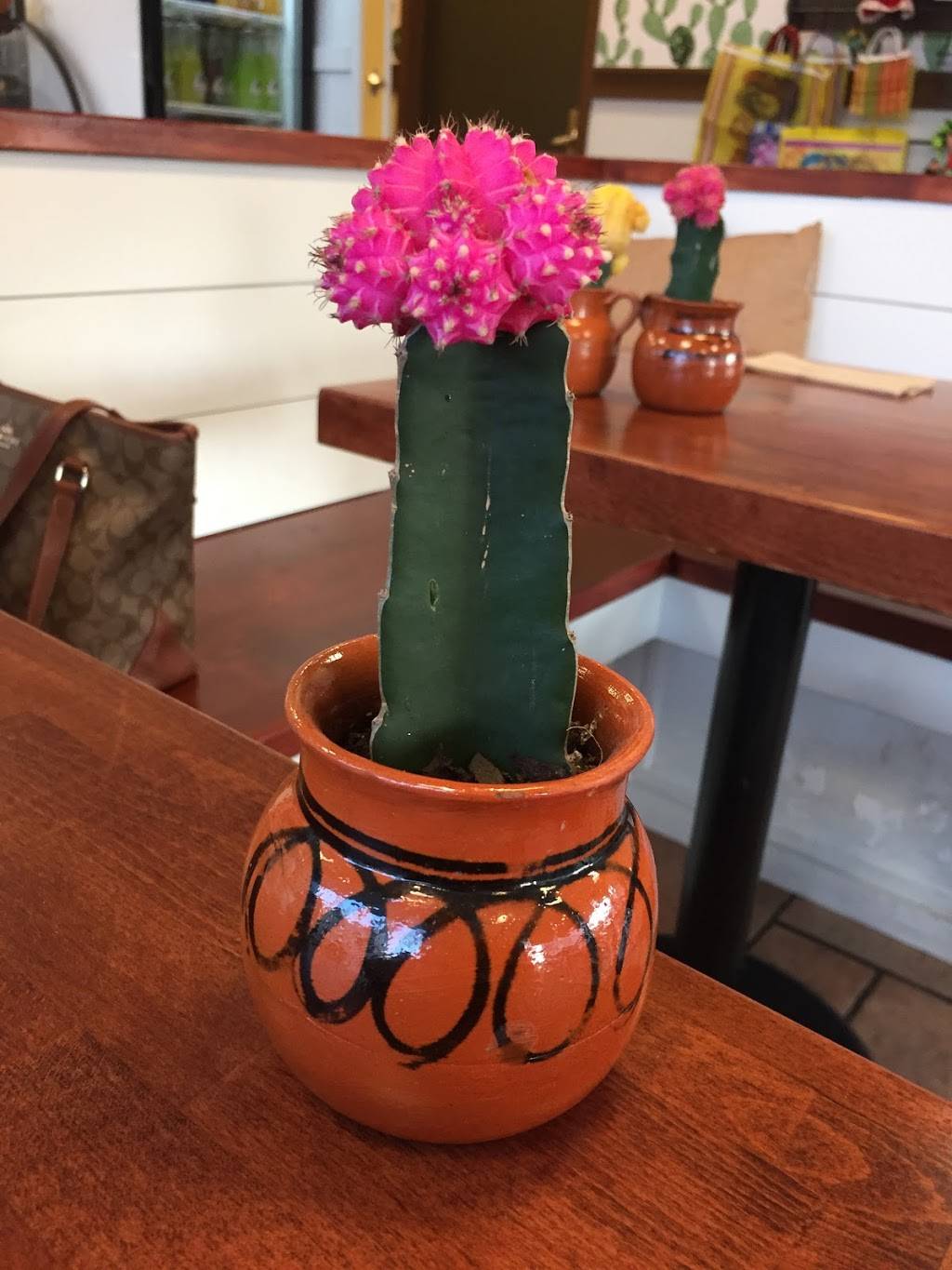 Casita Linda | bakery | 218 N Baltimore Ave, Ocean City, MD 21842, USA | 4436645993 OR +1 443-664-5993