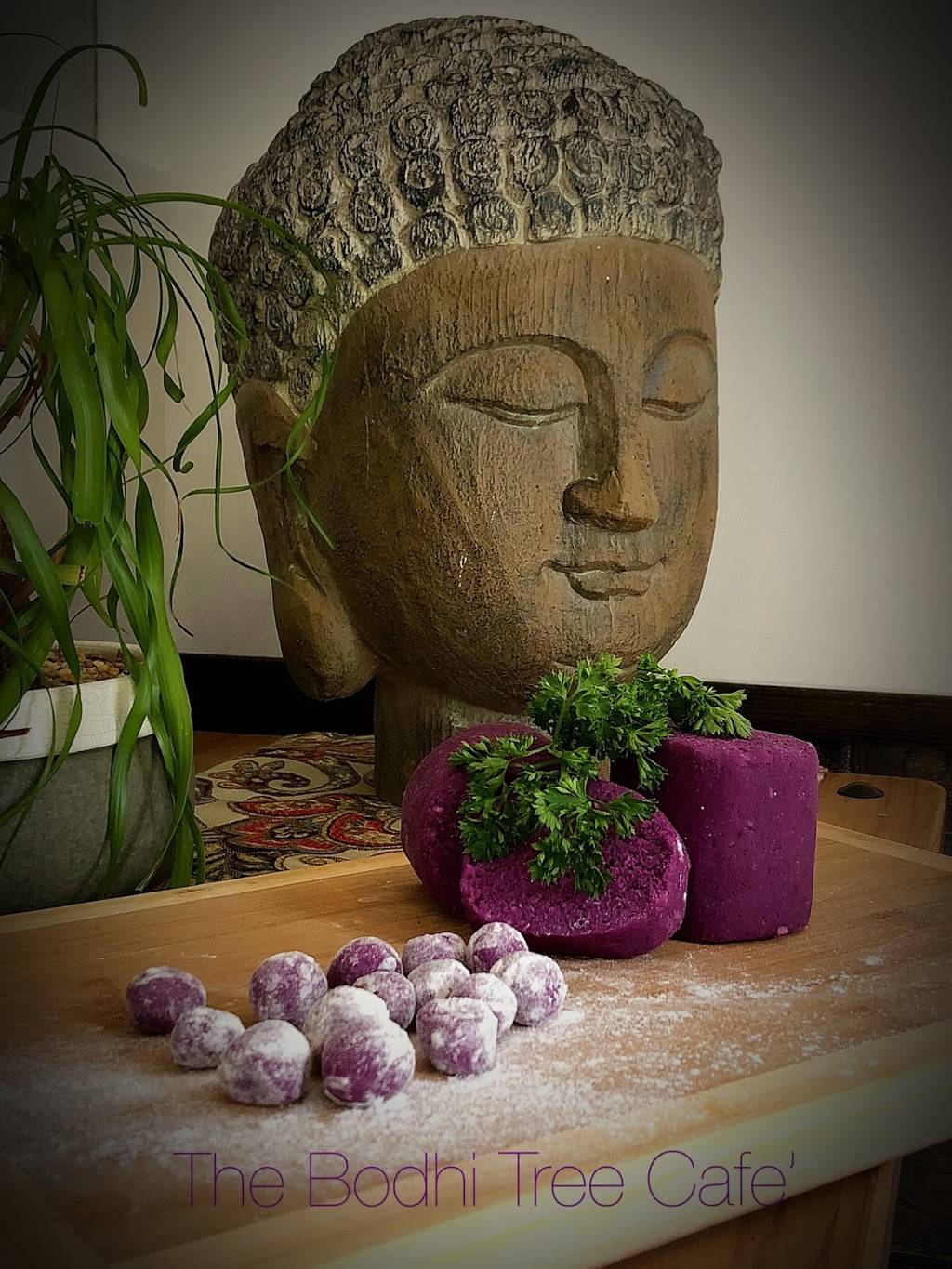 The Bodhi Tree Café | restaurant | 1938 Adams Ln, Sarasota, FL 34236, USA | 9417028552 OR +1 941-702-8552