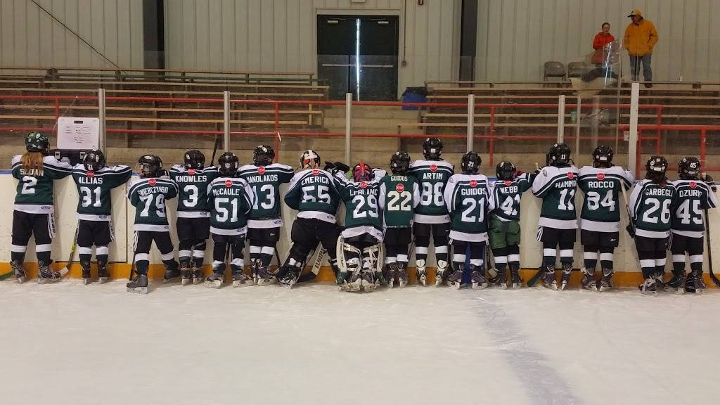 Rostraver Ice Garden | restaurant | 101 Gallitin Rd, Belle Vernon, PA 15012, USA | 7243797100 OR +1 724-379-7100