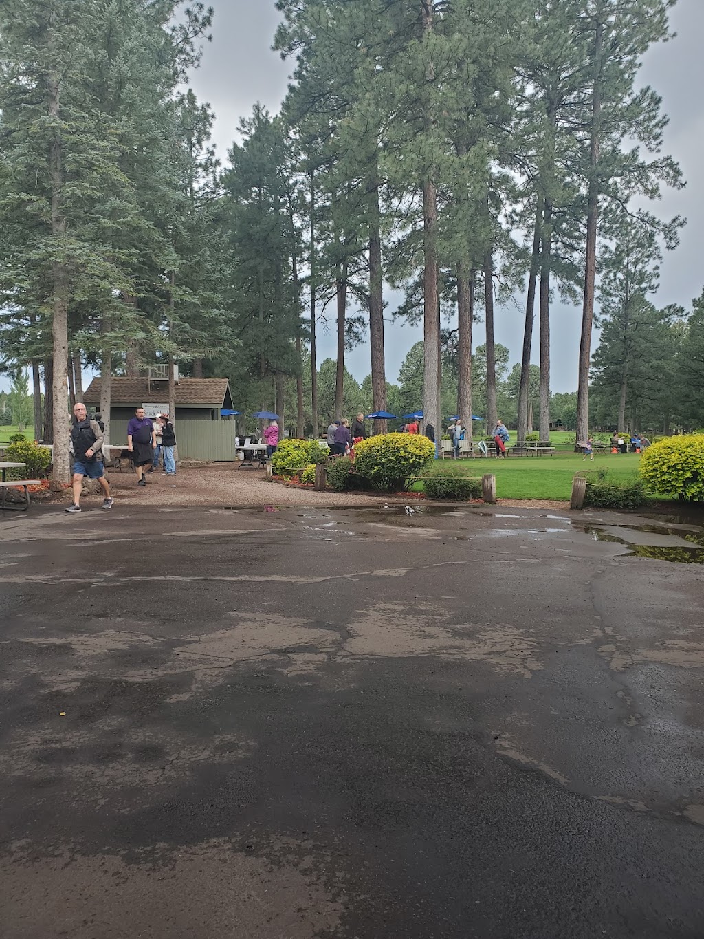 Pinetop Lakes Country Club | restaurant | 4643 Buck Springs Rd, Pinetop, AZ 85935, USA | 9283694531 OR +1 928-369-4531