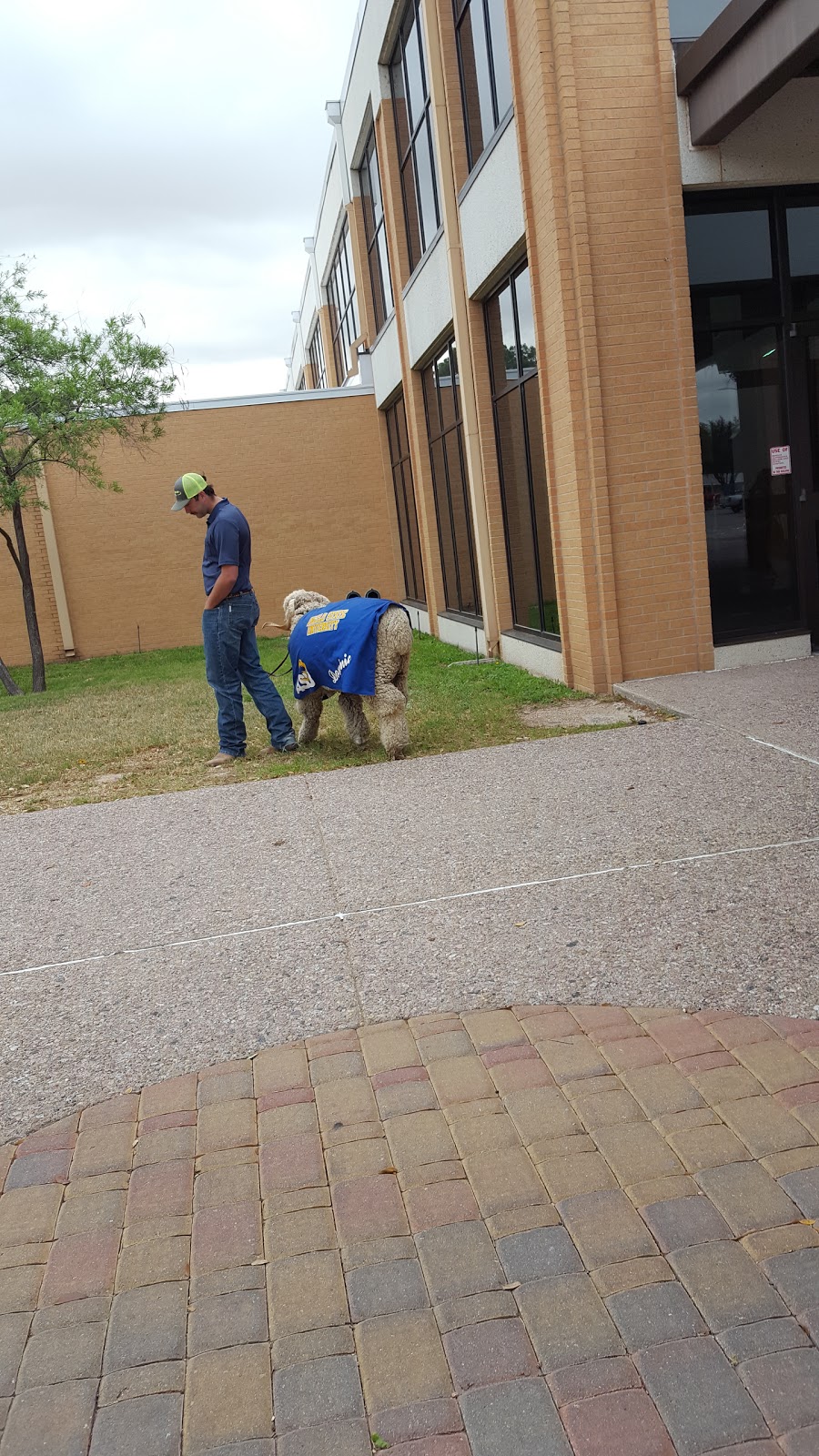 Chick-fil-A | restaurant | 2601 W Ave N, San Angelo, TX 76909, USA | 3259441888 OR +1 325-944-1888