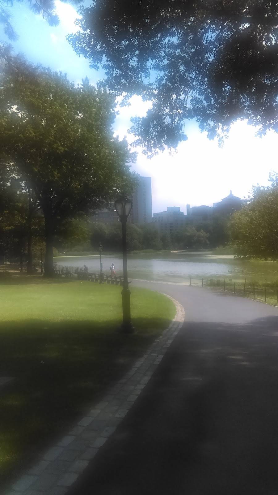 241 Street Cafe | cafe | 4703 White Plains Rd, Bronx, NY 10470, USA | 7183244924 OR +1 718-324-4924