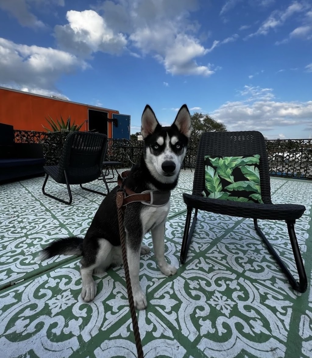 Aura Hookah Lounge | restaurant | 2621 Jones Rd, Austin, TX 78745, USA | 5127301676 OR +1 512-730-1676