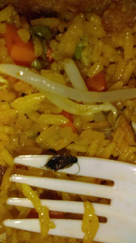 United Kitchen | restaurant | 766 Liberty Ave, Brooklyn, NY 11208, USA | 7182775162 OR +1 718-277-5162