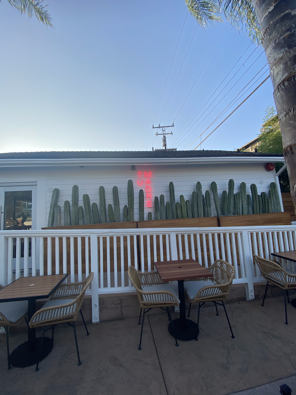 Tacos Tu Madre | restaurant | 1111 N Hayworth Ave, West Hollywood, CA 90046, USA | 3239224826 OR +1 323-922-4826