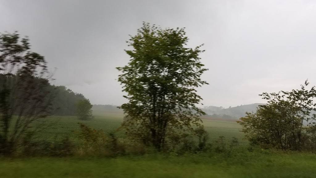 Foxs Pizza Den | restaurant | 10858 US-422, Shelocta, PA 15774, USA | 7243543698 OR +1 724-354-3698