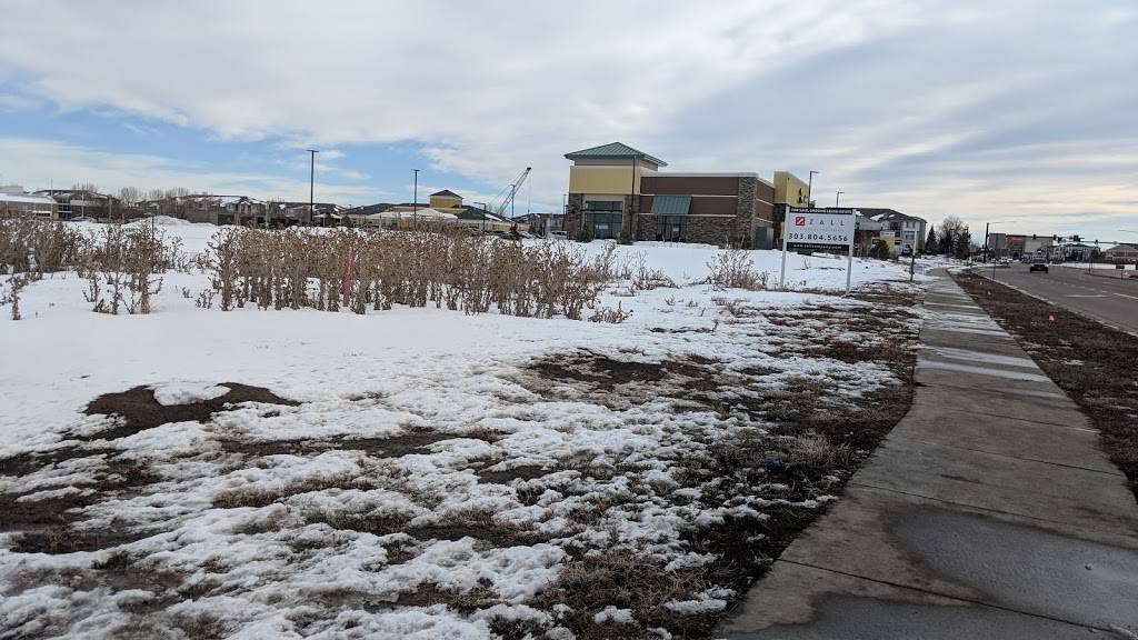 Starbucks | cafe | 9328 S Jordan Rd, Parker, CO 80134, USA | 7208425165 OR +1 720-842-5165