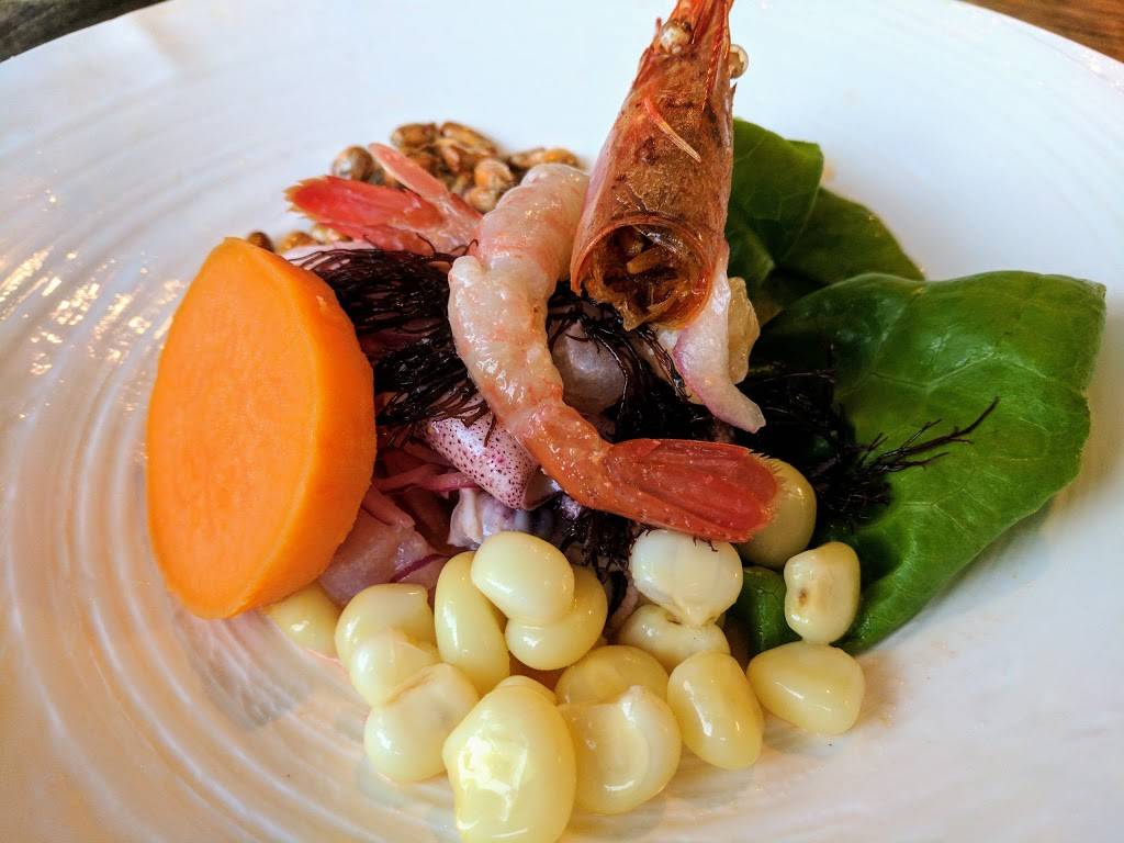 Pucquio | restaurant | 5337 College Ave, Oakland, CA 94618, USA | 5106587378 OR +1 510-658-7378