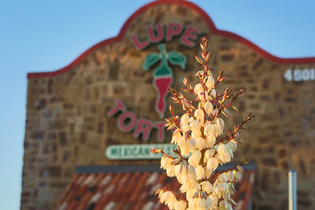 Lupe Tortilla Mexican Restaurant (Coming Soon) | restaurant | 255 E Basse Rd, San Antonio, TX 78209, USA | 8327726301 OR +1 832-772-6301