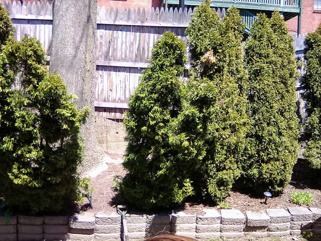 Blake House Café | cafe | 21 Edwards St, Springfield, MA 01103, USA | 4137792199 OR +1 413-779-2199