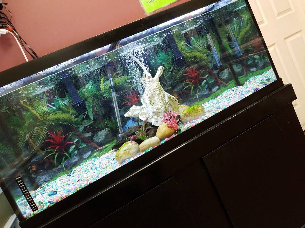 Hunan China | restaurant | 1203, 9234 Springhill Ln, Greenbelt, MD 20770, USA | 3014749190 OR +1 301-474-9190