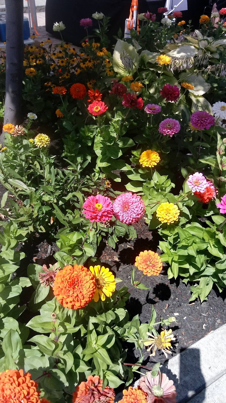 Stooges | restaurant | 2 Pine St, Lockport, NY 14094, USA | 7164341100 OR +1 716-434-1100