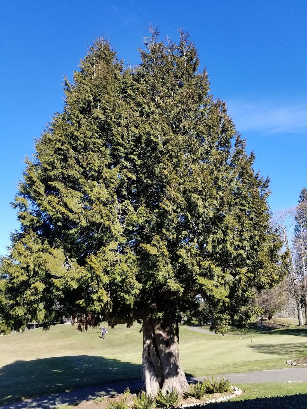 Great Blue Heron Grill | restaurant | 8720 Semiahmoo Pkwy, Blaine, WA 98230, USA | 3603715745 OR +1 360-371-5745