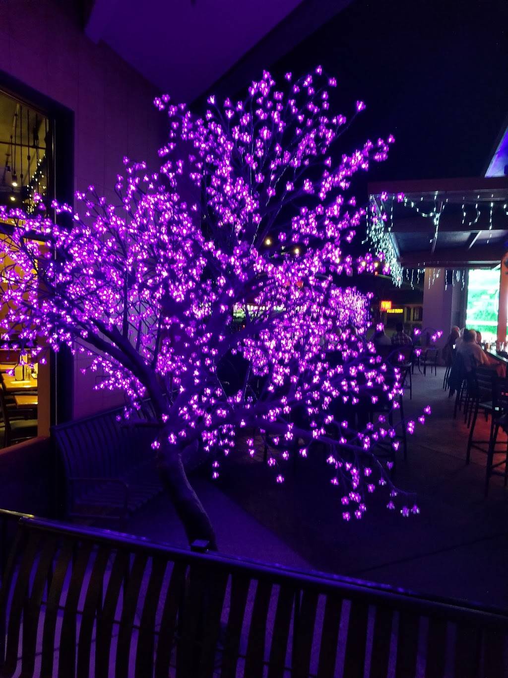 The Pour House | night club | 855 East Ave #270, Chico, CA 95926, USA | 5308933000 OR +1 530-893-3000