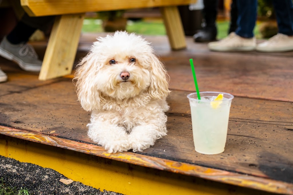 TailGate Outdoor Sports Bar | restaurant | 86 N 11th St, Brooklyn, NY 11249, USA | 9292603635 OR +1 929-260-3635