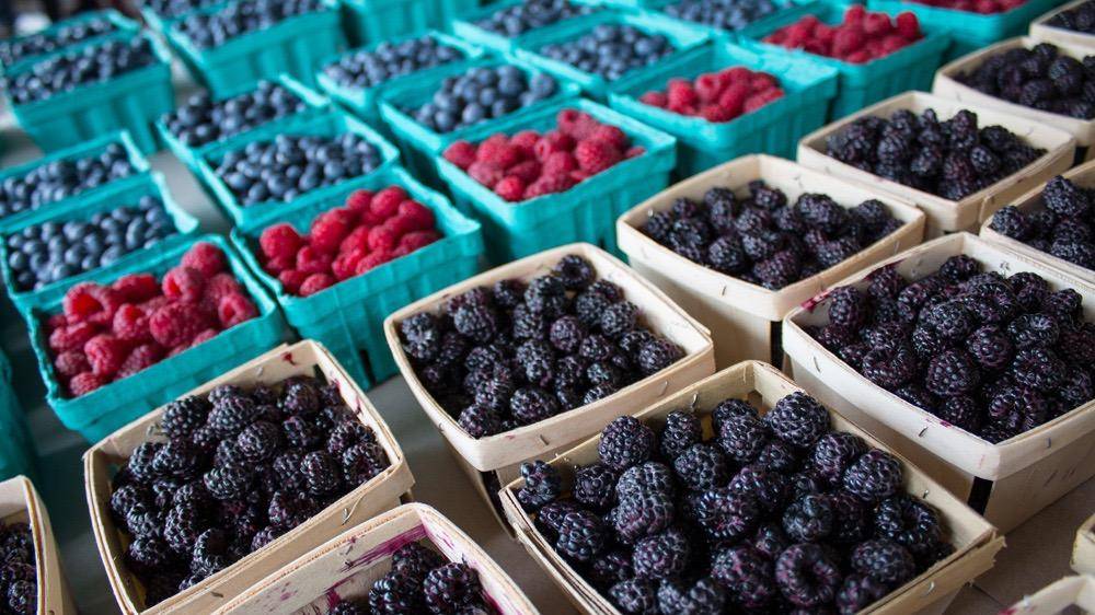 Hershbergers Farm and Bakery | bakery | 5452 OH-557, Millersburg, OH 44654, USA | 3306746096 OR +1 330-674-6096