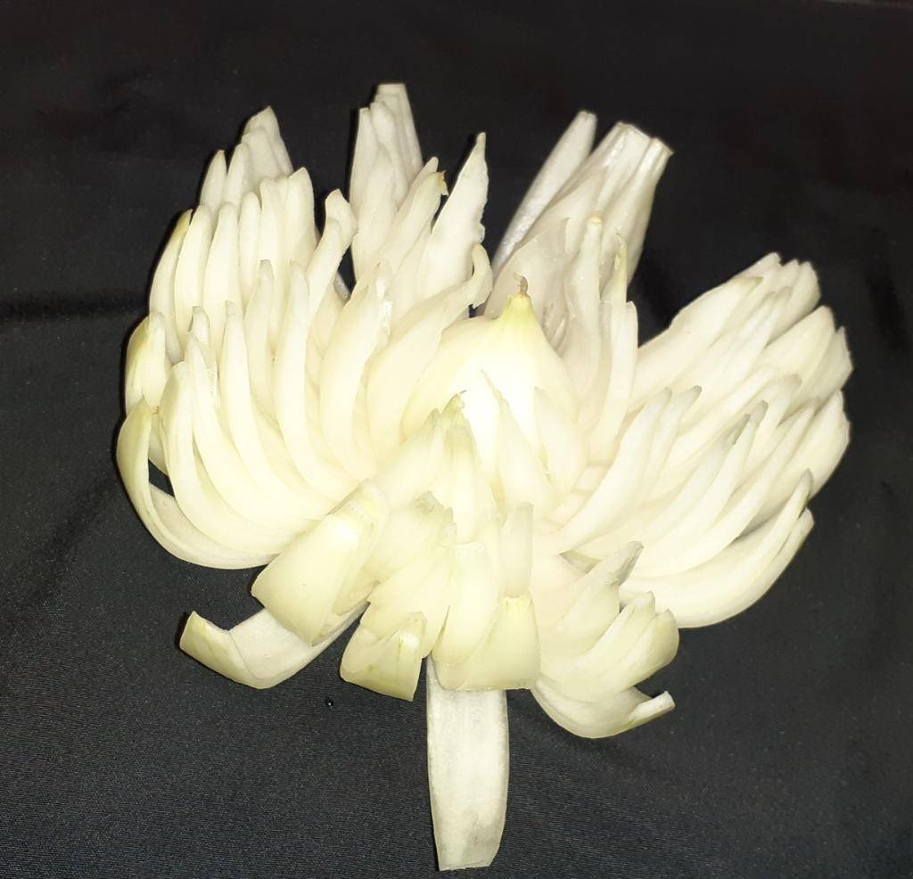 Pulidos mexican food & Burgers | restaurant | 1241 W Memory Ln, Santa Ana, CA 92706, USA | 7145414940 OR +1 714-541-4940