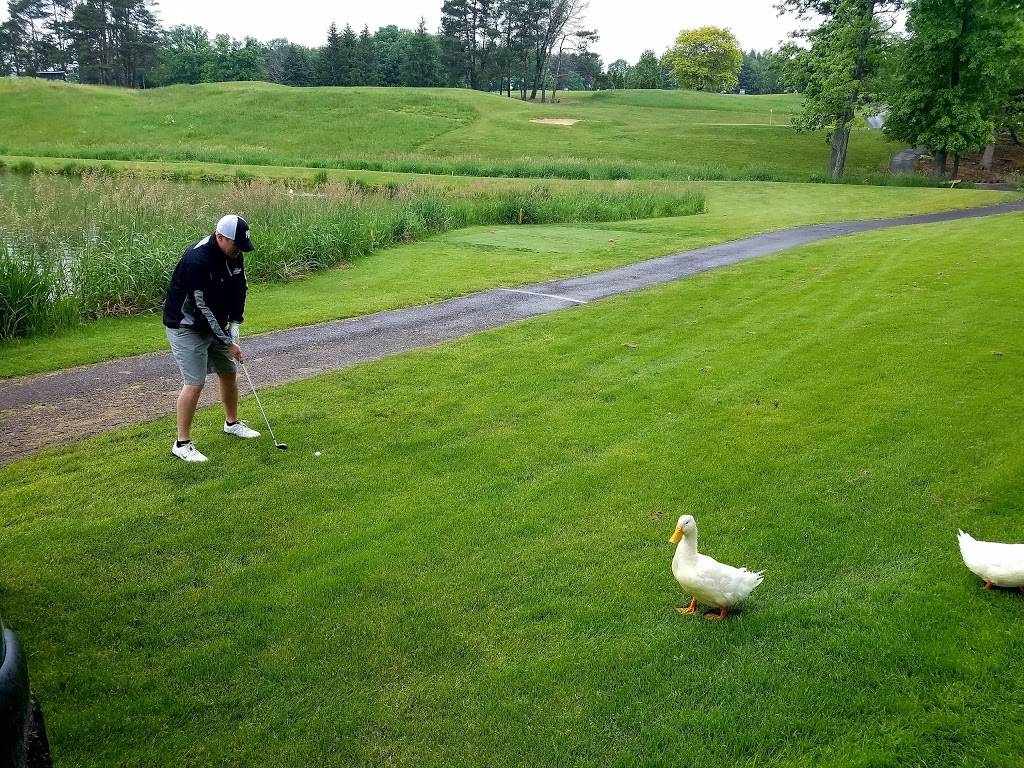 Sugarloaf Golf Club | restaurant | 18 Golf Course Road, Sugarloaf, PA 18249, USA | 5703844097 OR +1 570-384-4097