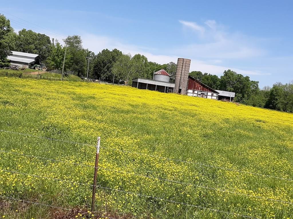 Pheba’s Diner | restaurant | 8520 MS-50, Pheba, MS 39755, USA | 6624187300 OR +1 662-418-7300