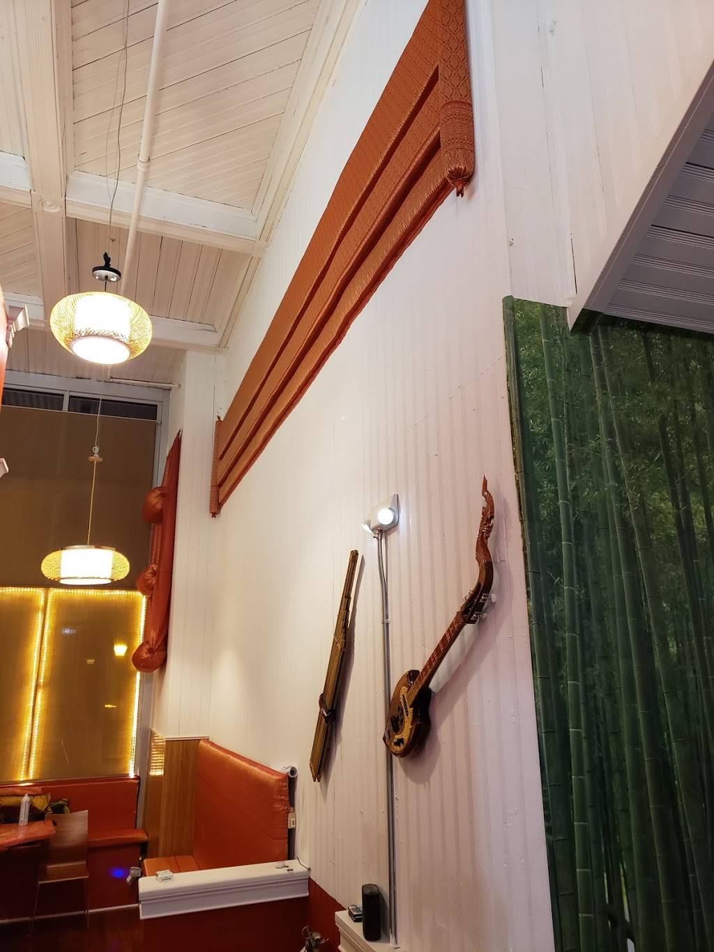 Nisa Thai Cuisine 2 | restaurant | 133 N Sycamore St, Petersburg, VA 23803, USA | 8043244490 OR +1 804-324-4490