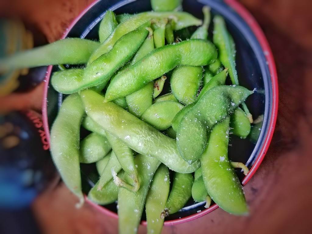 Sakana Japanese Bistro | restaurant | 5128, 1460 W Yosemite Ave, Manteca, CA 95337, USA | 2092393288 OR +1 209-239-3288