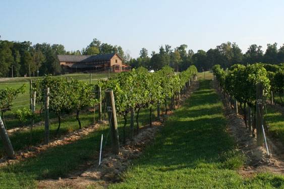 New Kent Winery | restaurant | 8400 Old Church Rd, New Kent, VA 23124, USA | 8049328240 OR +1 804-932-8240